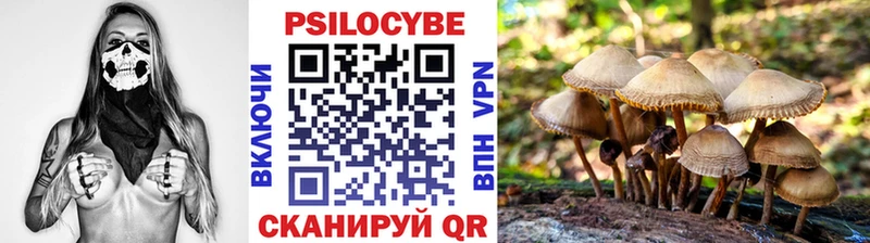 Галлюциногенные грибы MAGIC MUSHROOMS  кракен вход  Могоча  где купить наркоту 